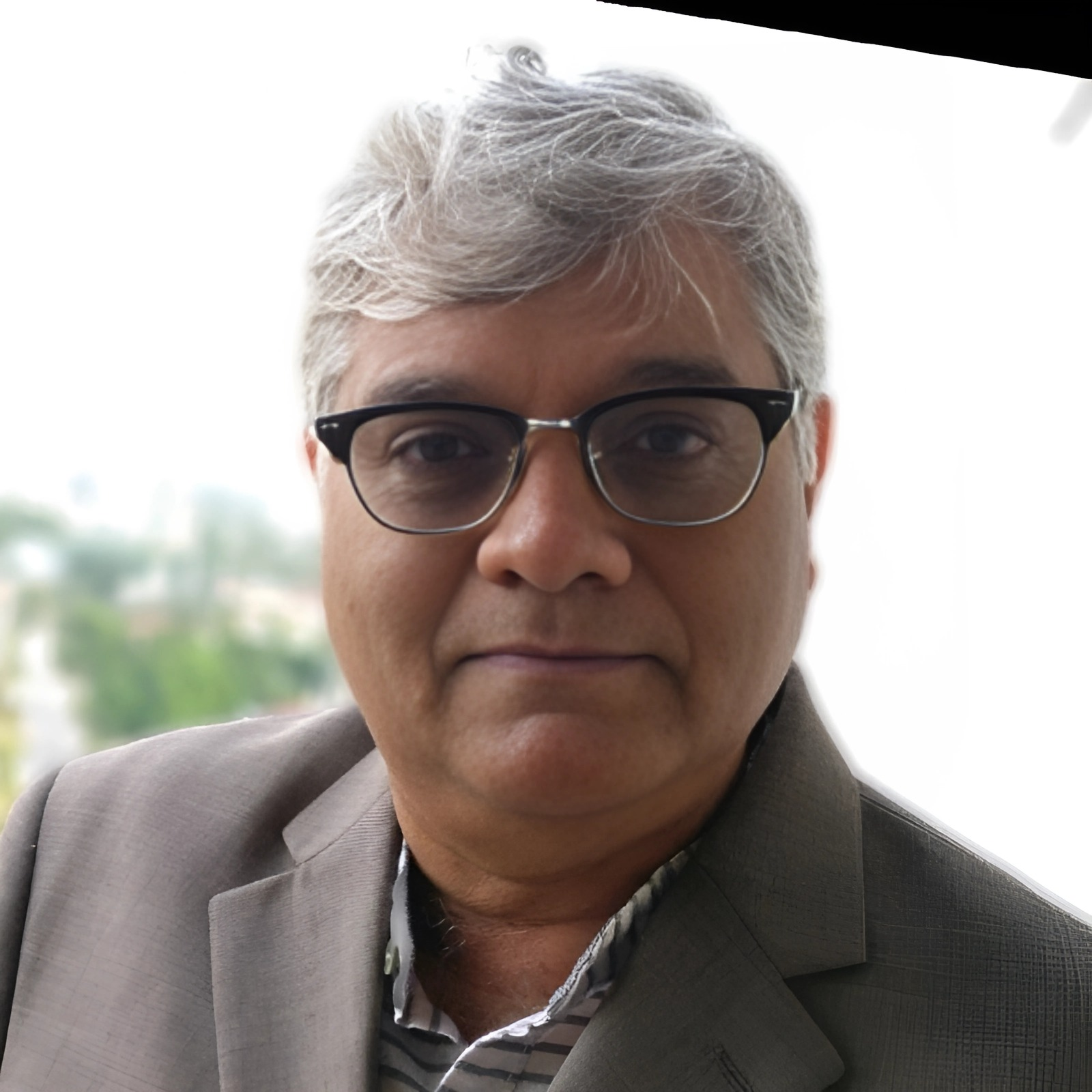 CA Pragnesh Udeshi